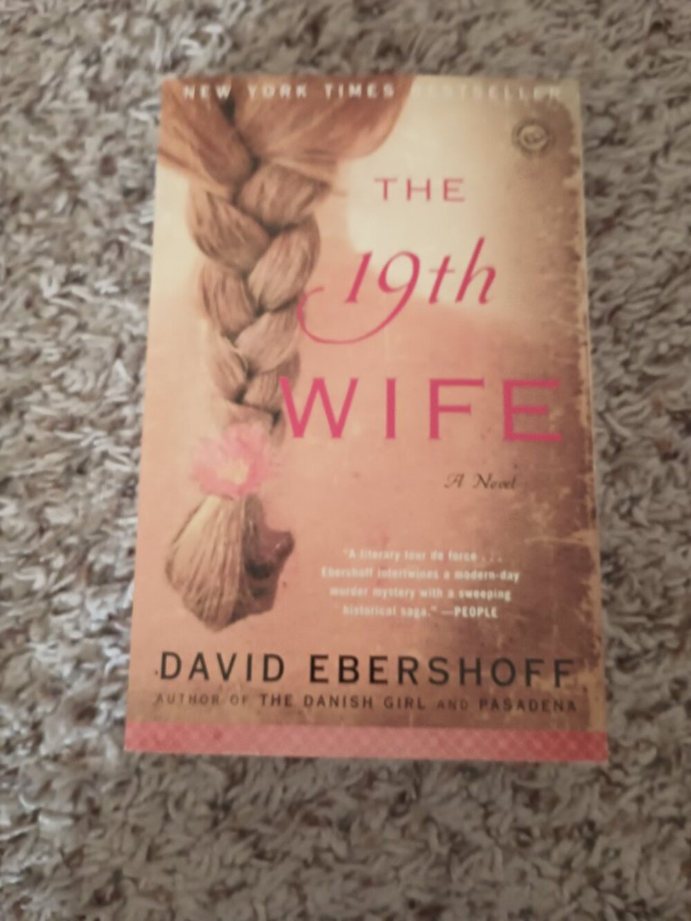 The 19th Wife novel - trade paperback